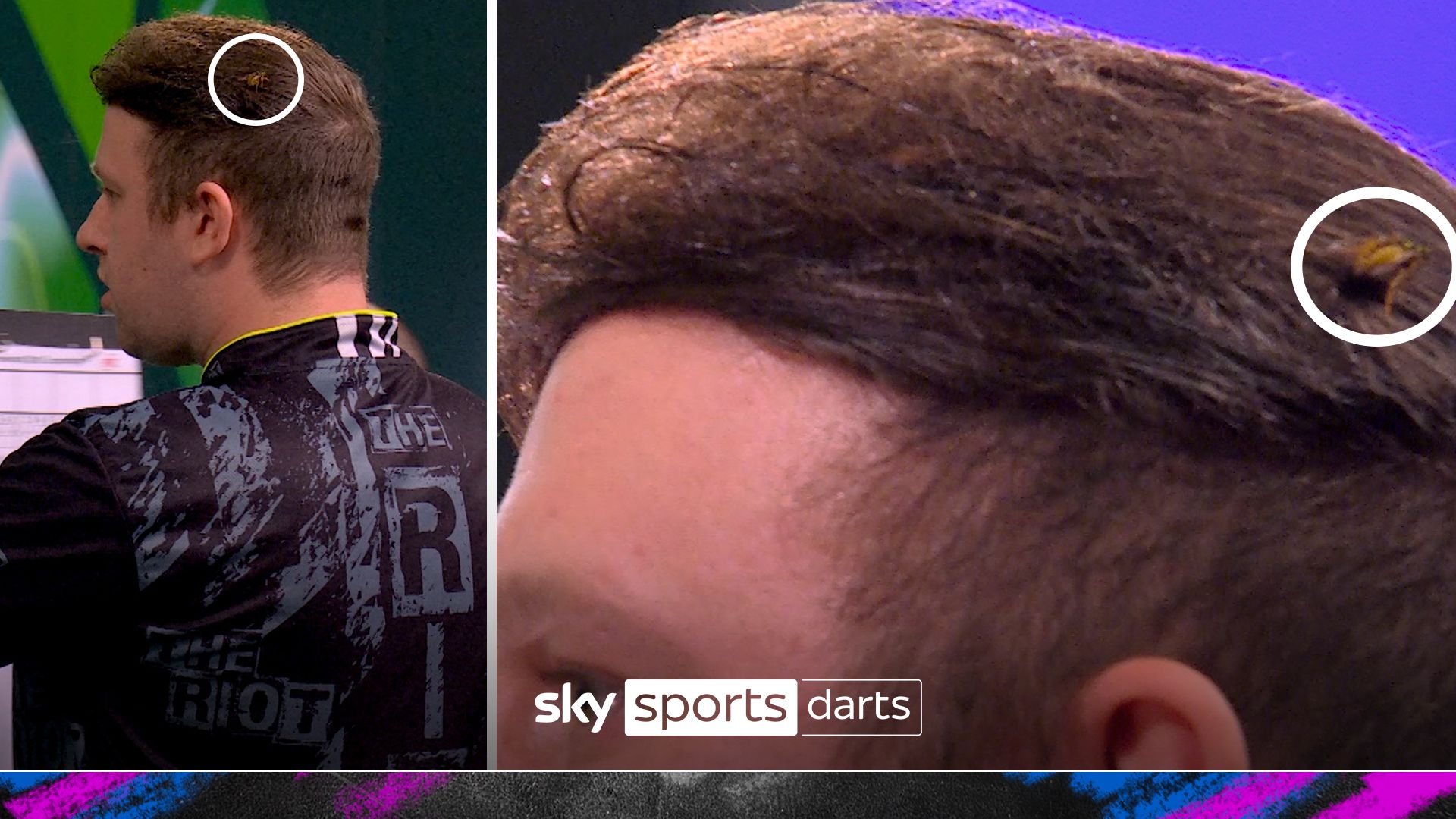 The Ally Pally wasp returns…on Rydz’s hair!