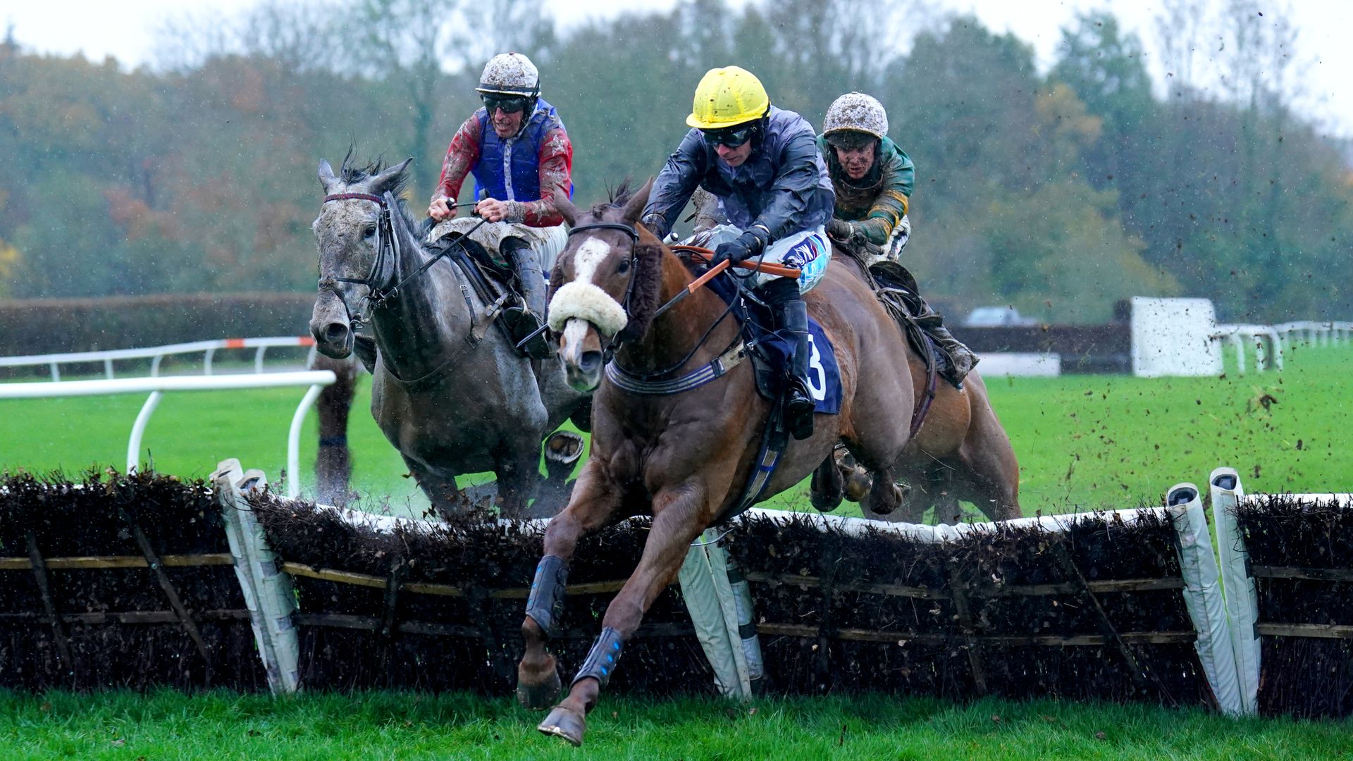 Today on Sky Sports Racing: Newcastle, Lingfield and Wolverhampton feature