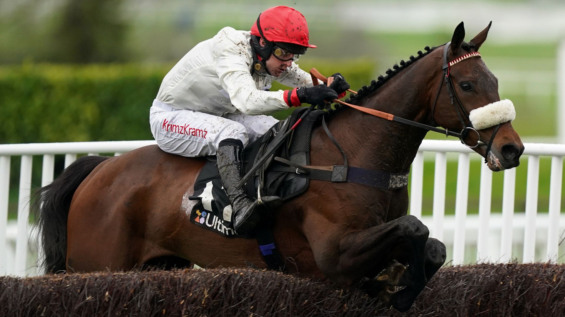 Cheltenham run will decide Chianti Classico’s future target