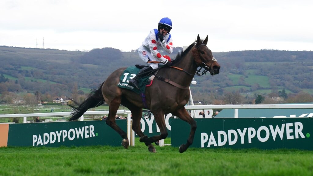 Cheltenham tips: Fugitif fancied to retain December Gold Cup crown