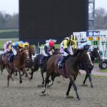 Winter Oaks Trial features on busy Lingfield card