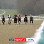 Lingfield signs off before Christmas with busy nine-race card