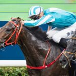 Romantic Warrior creates Hong Kong Cup history