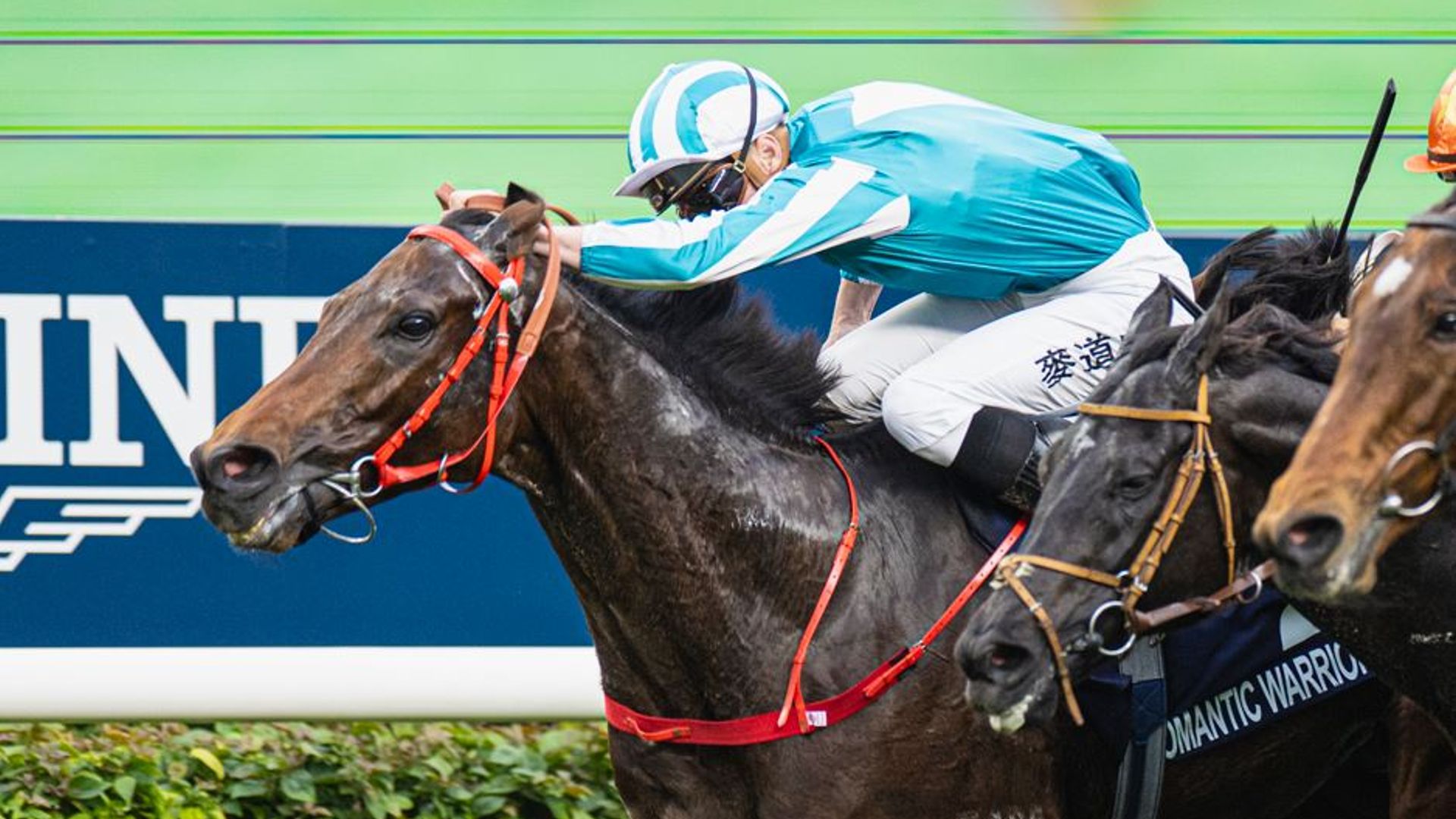 Romantic Warrior creates Hong Kong Cup history