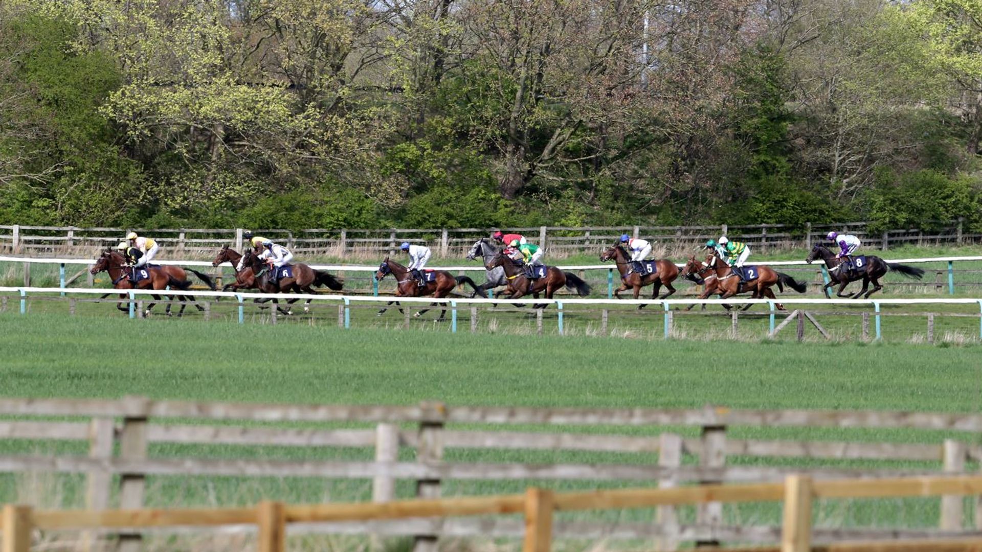 Today on Sky Sports Racing: Newcastle and Sedgefield feature