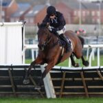 The New Lion faces Regent’s Stroll in Challow showdown at Newbury