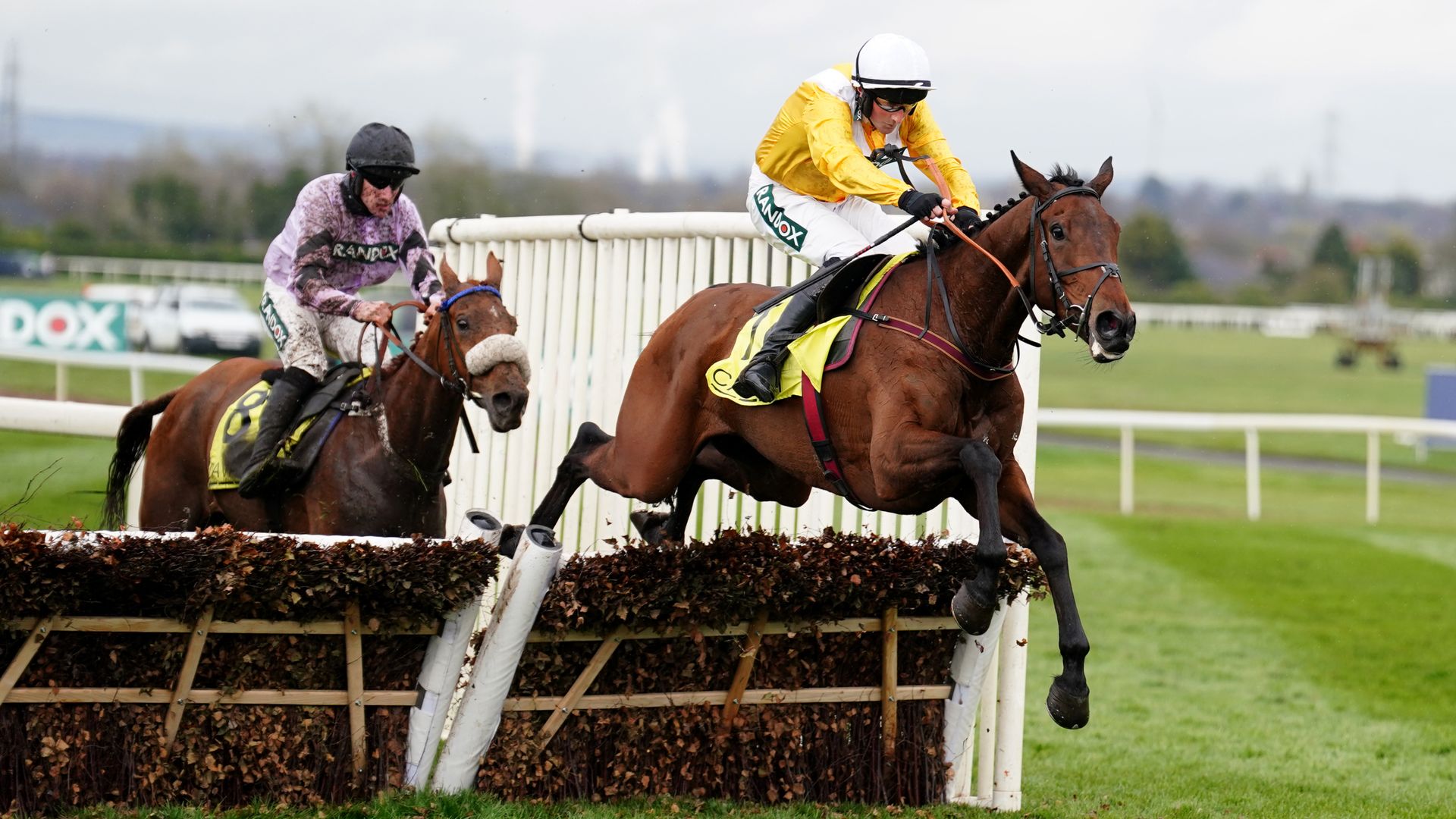 Apple Away and Fantastic Lady headline Listed Mares’ Chase