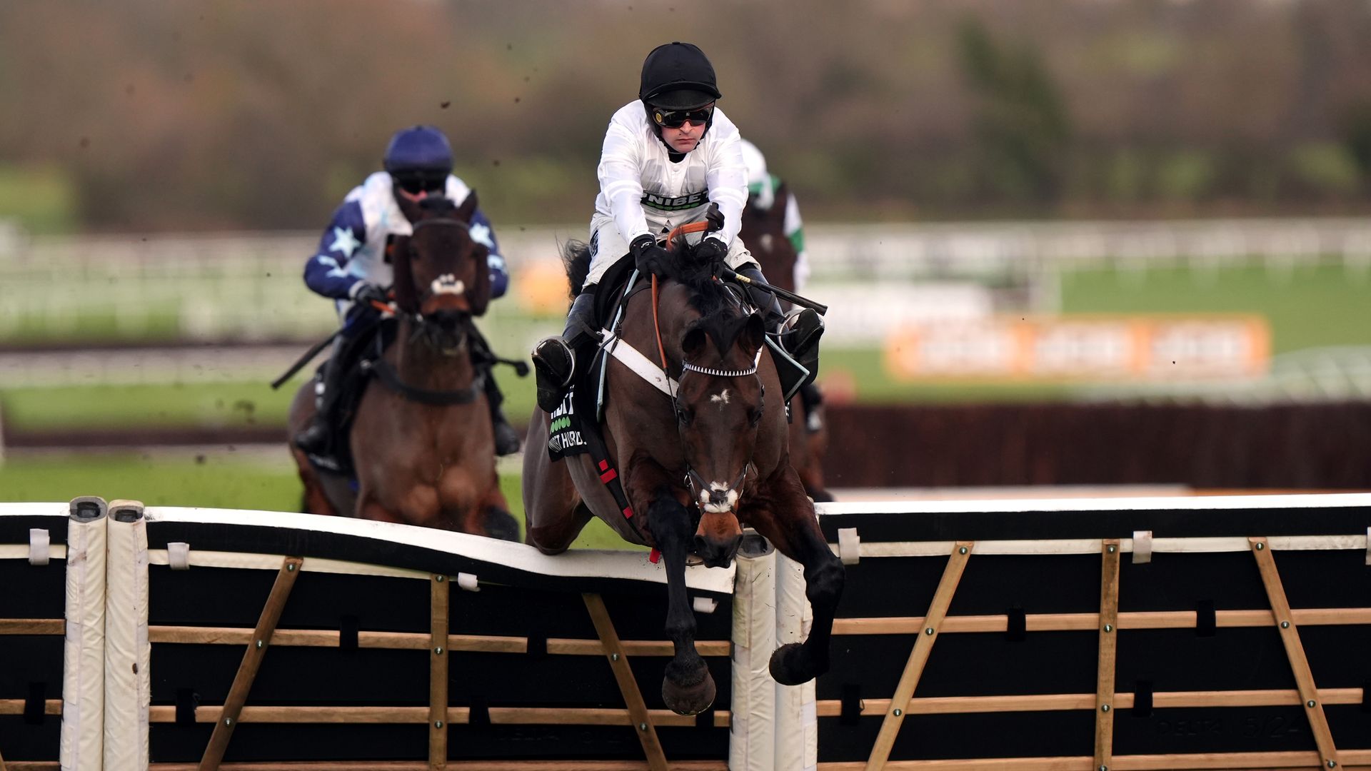 Constitution Hill survives late scare to notch Cheltenham success