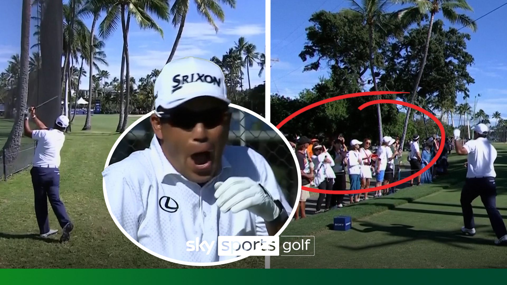 Club toss gone wrong, trick shot through TINY gap! | Matsuyama’s wild hole!