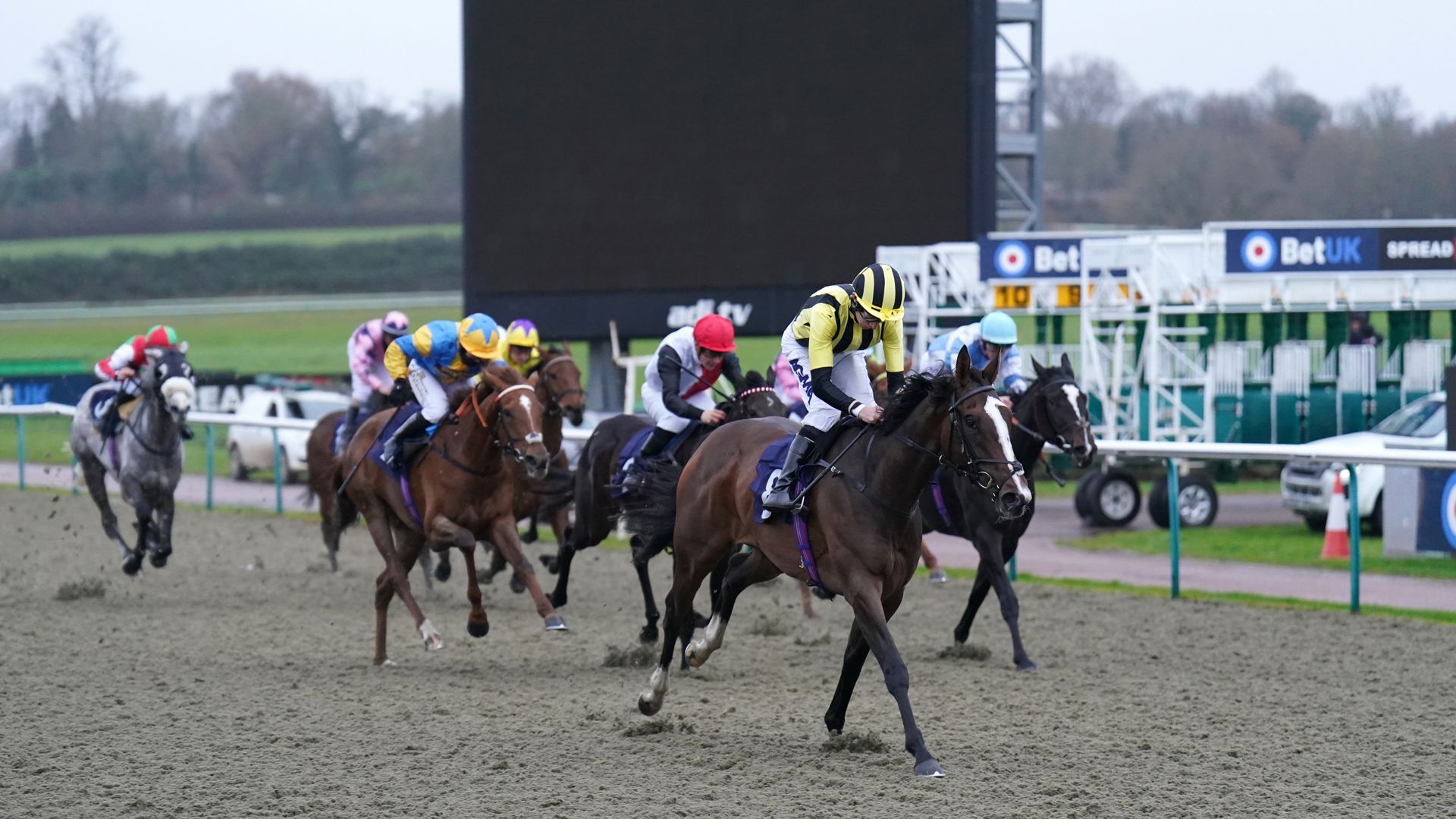 Lingfield hosts eight-race all-weather card