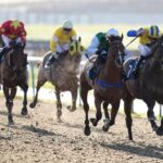 Lingfield and Wolverhampton host competitive Flat action