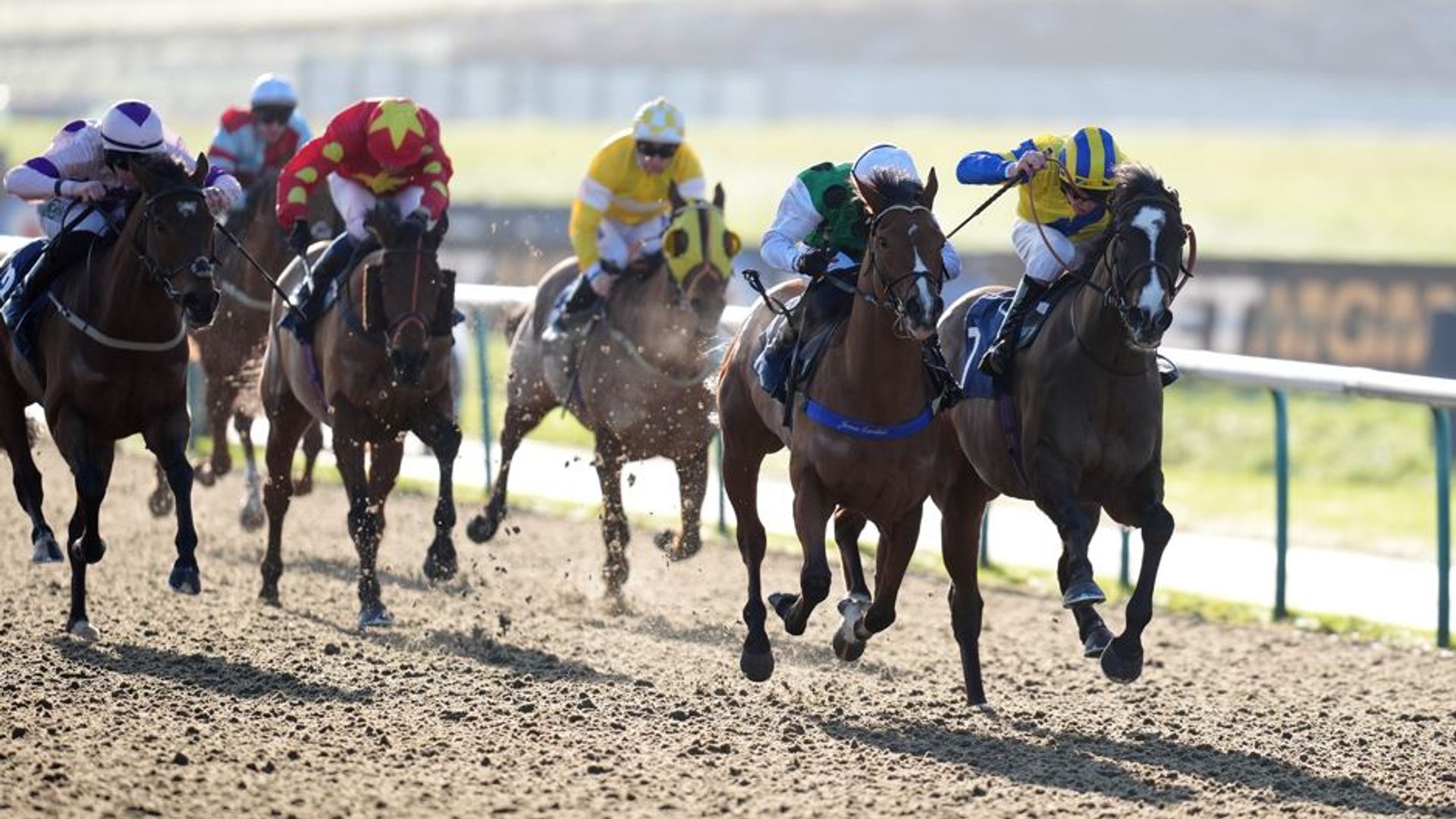 Lingfield and Wolverhampton host competitive Flat action