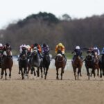 Hat-trick seekers clash at Newcastle; Southwell hosts busy card