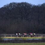 Wolverhampton hosts eight-race card