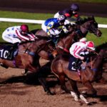 Wolverhampton hosts competitive all-weather card