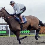 All systems go for Constitution Hill after Kempton gallop