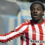 Sheff Wed 1-2 Sunderland highlights