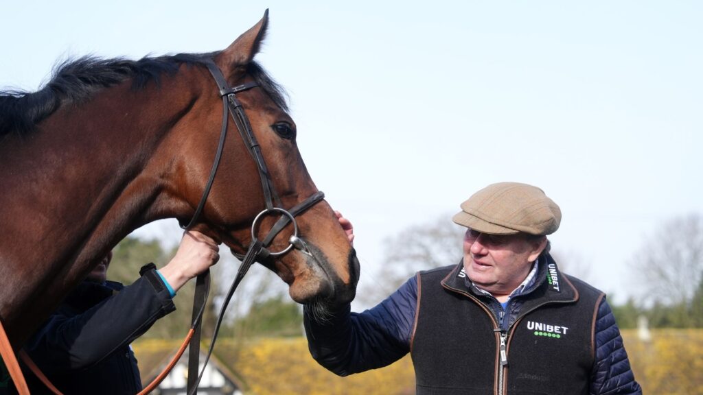 What a team! | Nicky Henderson’s Cheltenham Festival stable tour