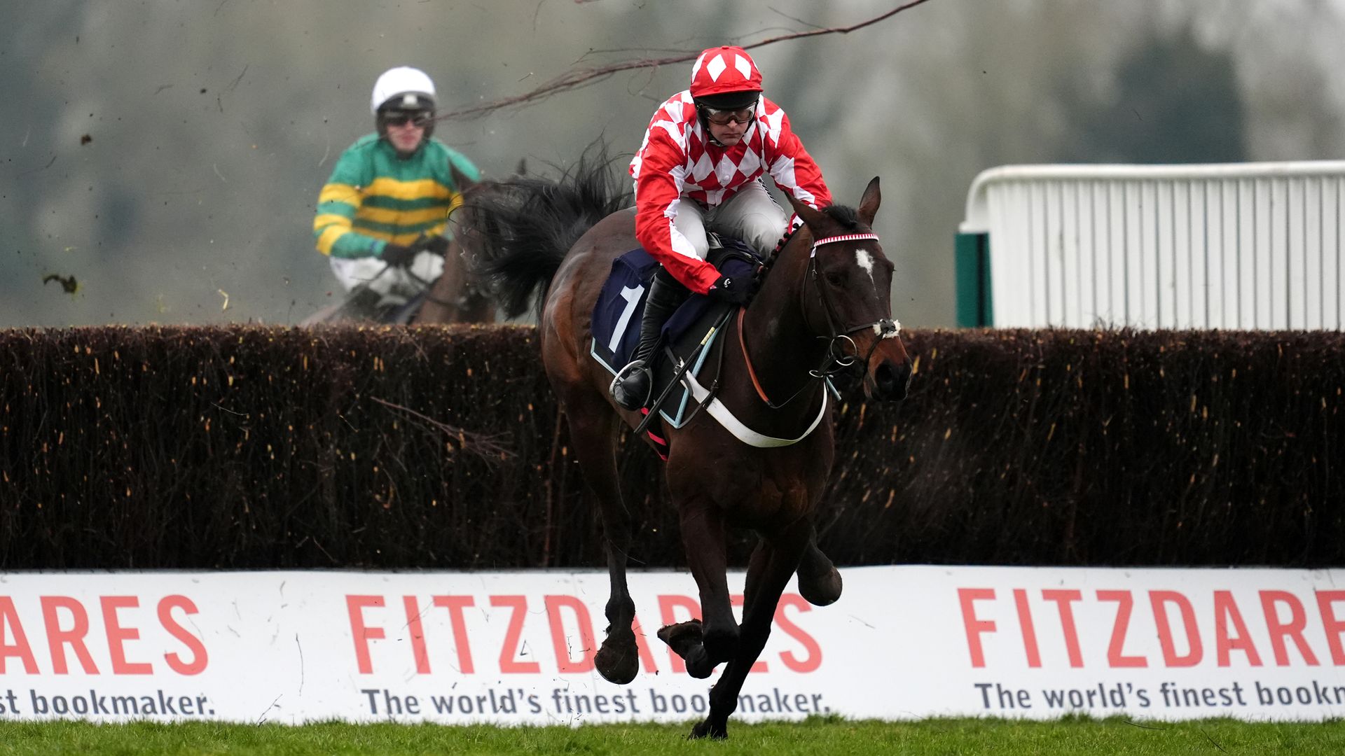 Jingko Blue tipped to go well in Reynoldstown Chase