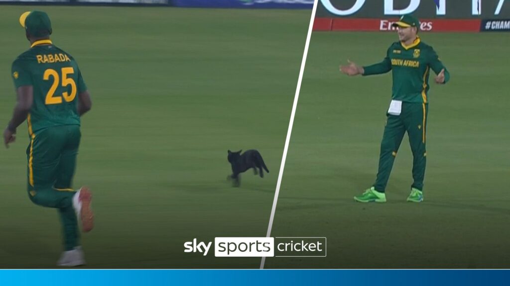 ‘When Rabada is after you, you run!’ | Cat chased off pitch after stopping play!