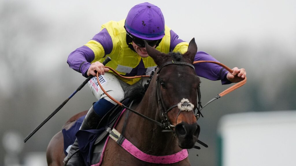 Nemean Lion and Blueking d’Oroux headline National Spirit Hurdle