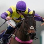 Nemean Lion and Blueking d’Oroux headline National Spirit Hurdle