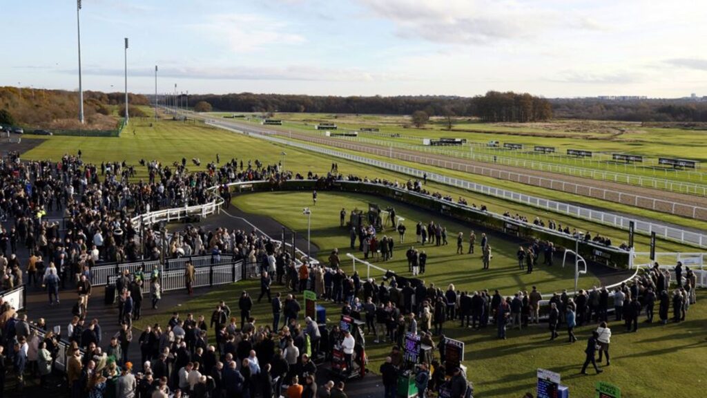 All-weather action from Newcastle follows Lingfield’s jumps card