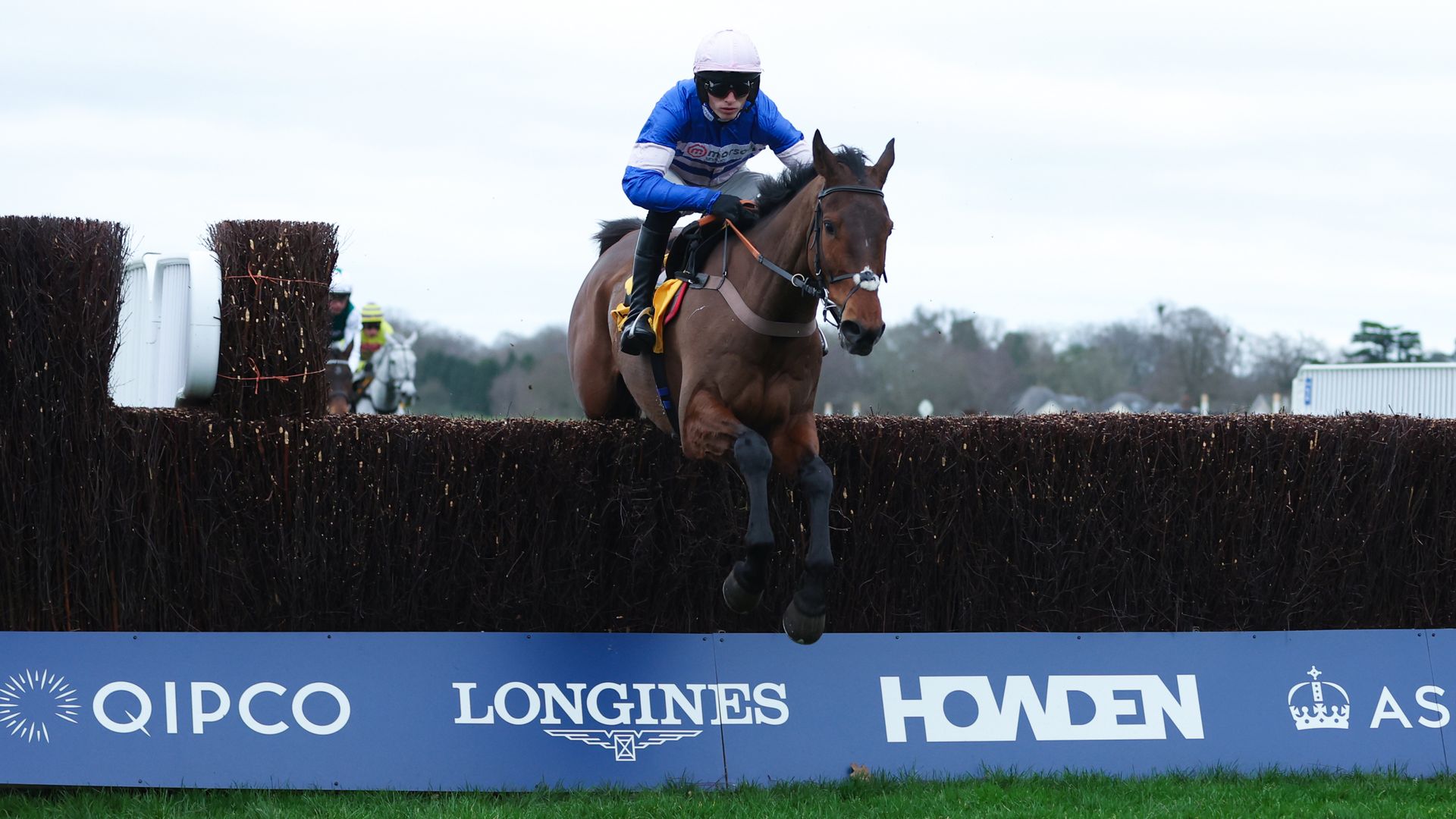 Pic D’orhy faces Corbetts Cross and L’Homme Presse in blockbuster Ascot Chase