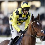 Cheltenham favourite Sir Gino out for season with infection