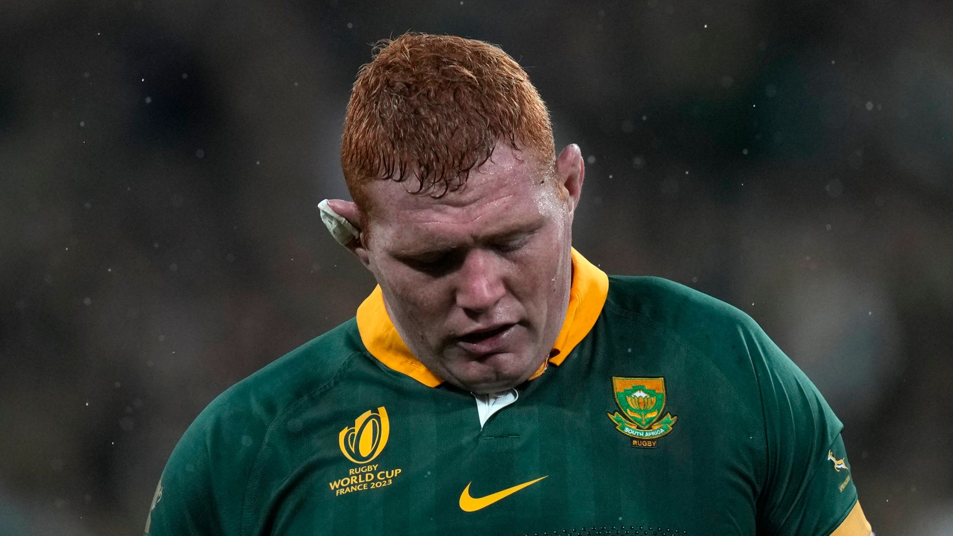 Springboks prop Kitshoff forced to retire due to neck injury