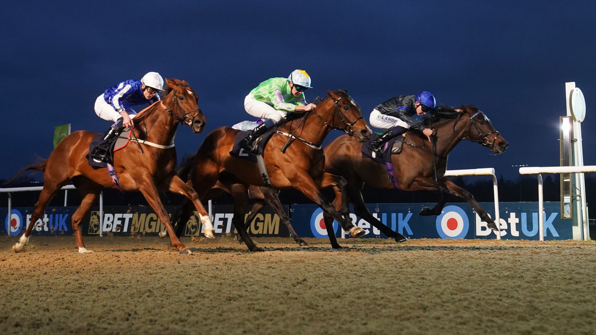 Today on Sky Sports Racing: Wolverhampton action after Plumpton falls