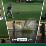 Best celebration of all time? | The Players sees two EPIC aces at iconic hole