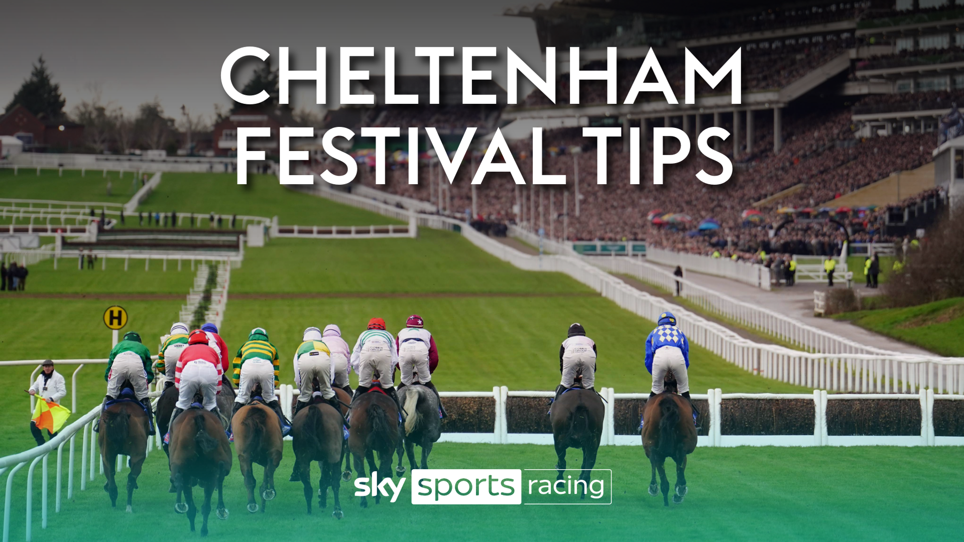 Cheltenham Festival day two tips: 40/1 Coral Cup pick