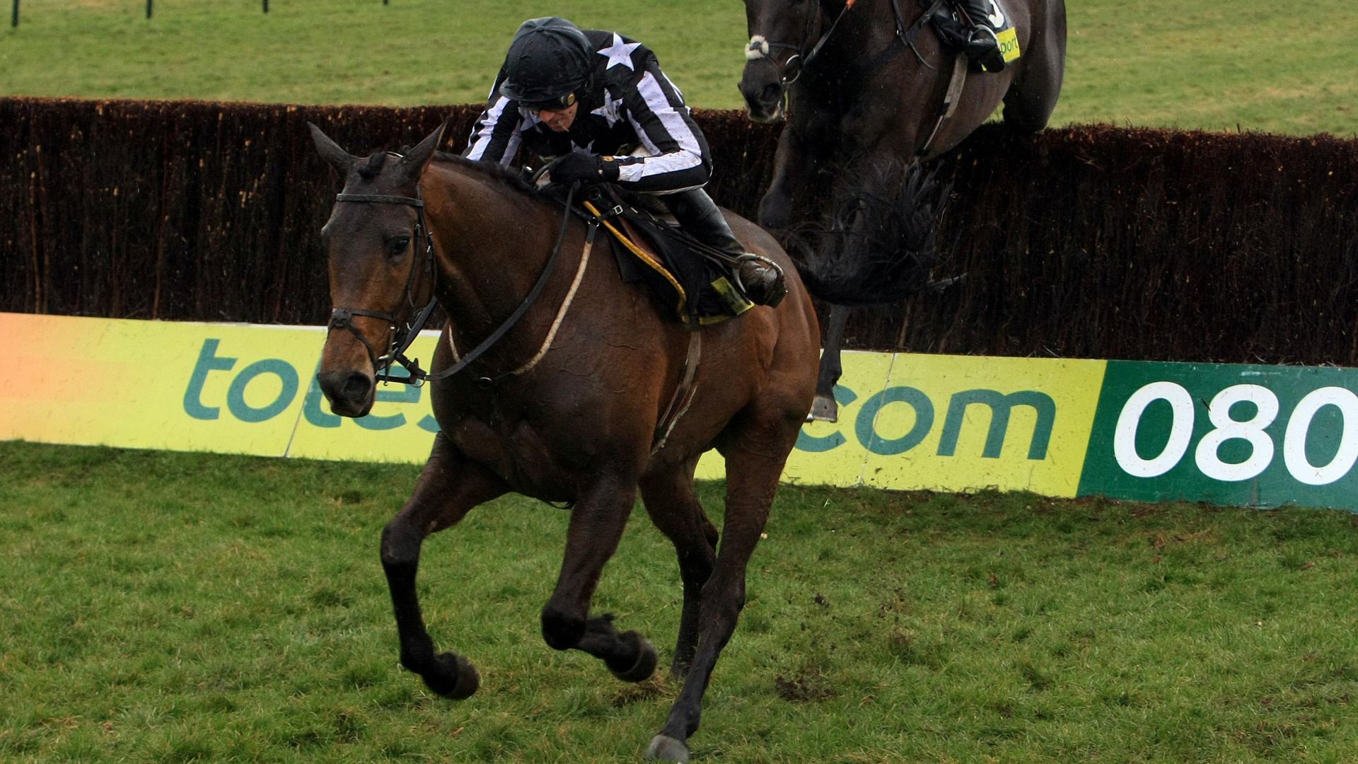 Paddy Brennan’s Cheltenham Festival victories