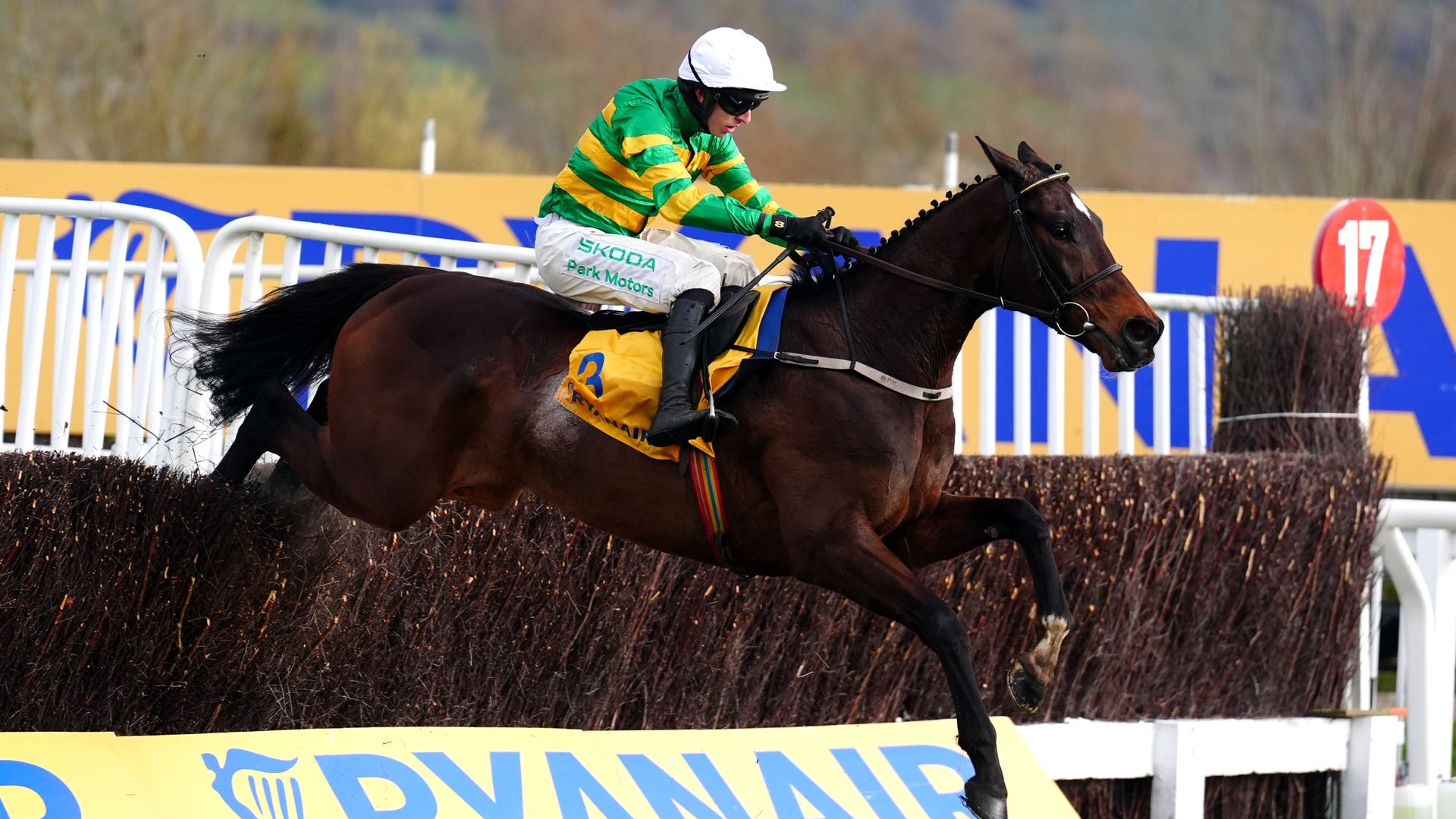 Fact To File blitzes all rivals to land Ryanair Chase crown