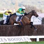 Gold Cup hero Inothewayurthinkin ruled out of Grand National