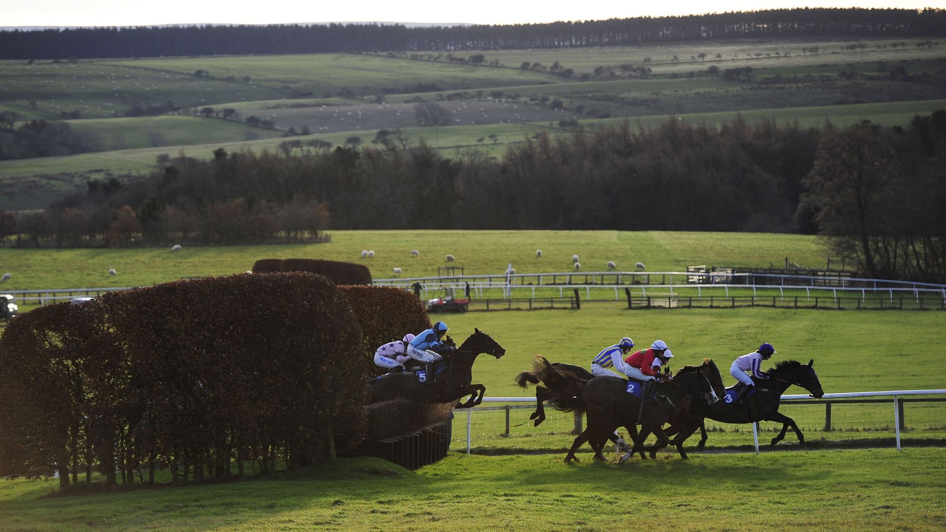 Today on Sky Sports Racing: Hexham and Newcastle host competitive cards