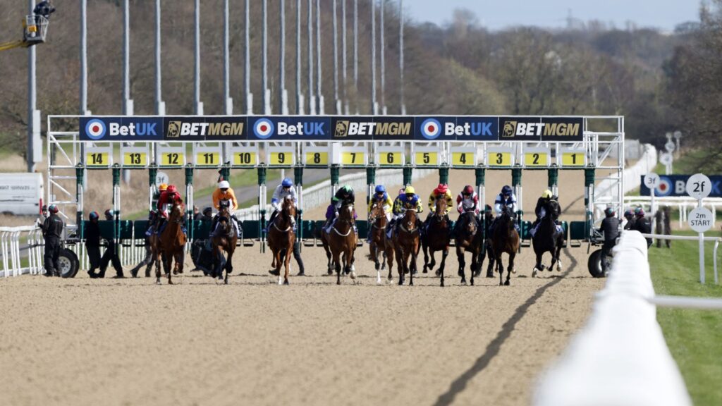 Today on Sky Sports Racing: Newcastle hosts seven-race card