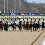 Today on Sky Sports Racing: Newcastle hosts seven-race card