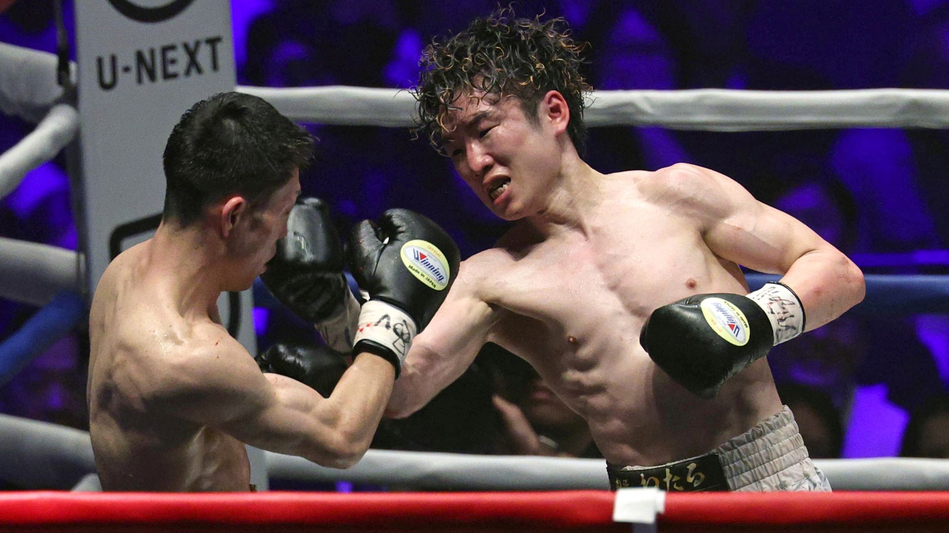 Teraji scores last-round stoppage to win thrilling unification