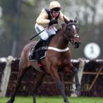 Newbury tips: La Pinsonniere fancied for Novices’ Hurdle success