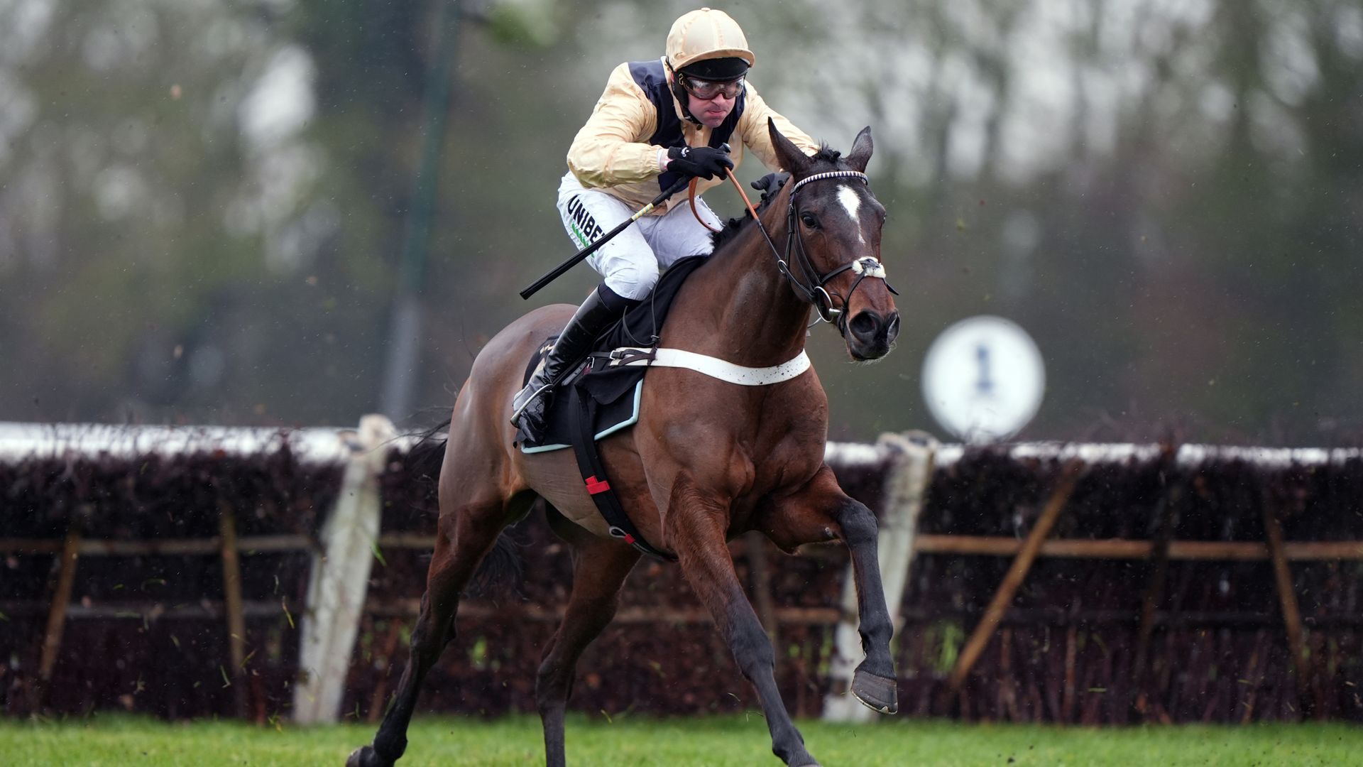 Newbury tips: La Pinsonniere fancied for Novices’ Hurdle success