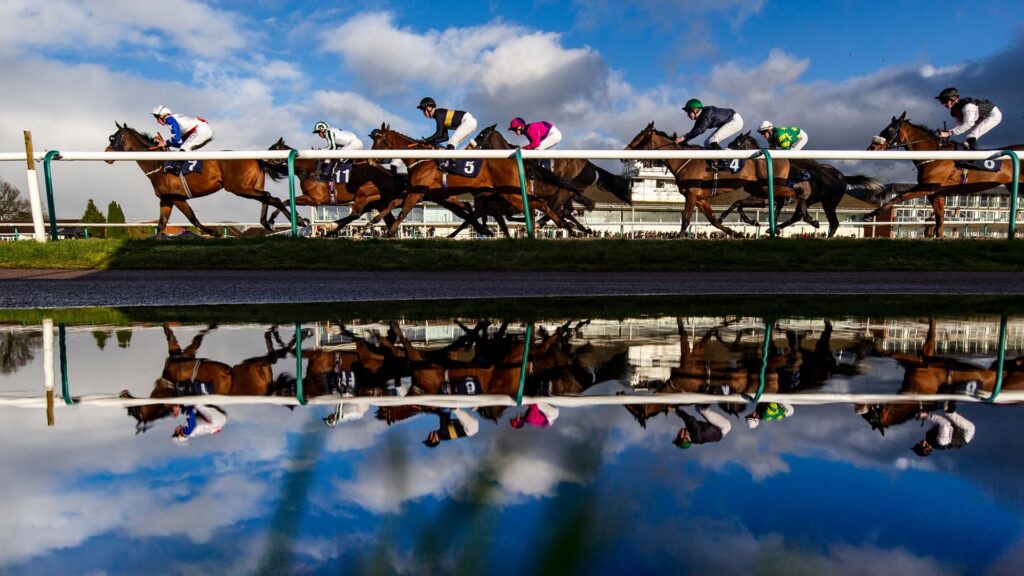 Rajeko and Bountiful go for Spring Cup glory at Lingfield