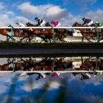 Rajeko and Bountiful go for Spring Cup glory at Lingfield