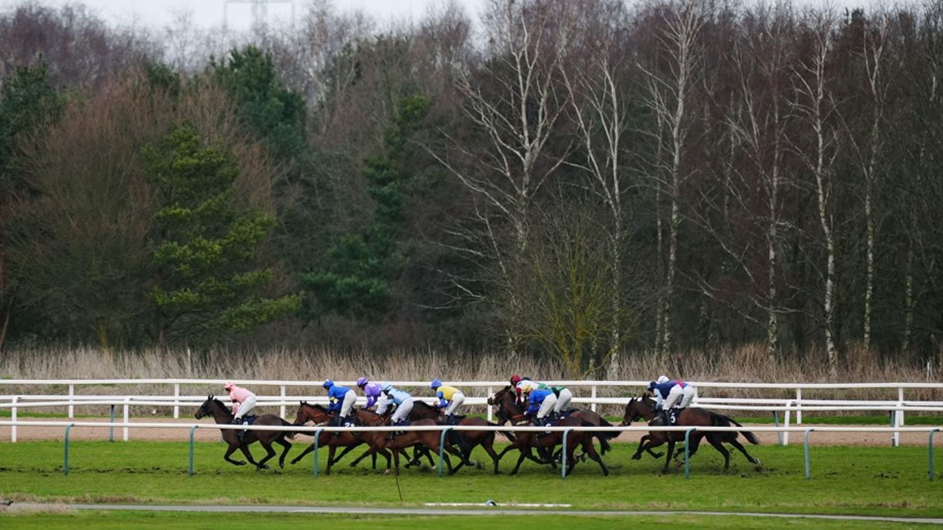 Southwell, Newcastle and Wolverhampton host competitive action