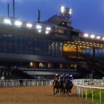 Today on Sky Sports Racing: All-weather action at Wolves and Newcastle